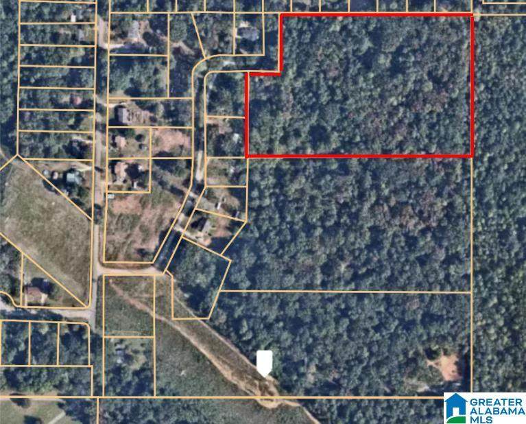 2115 Mountain View Road - Photo 1