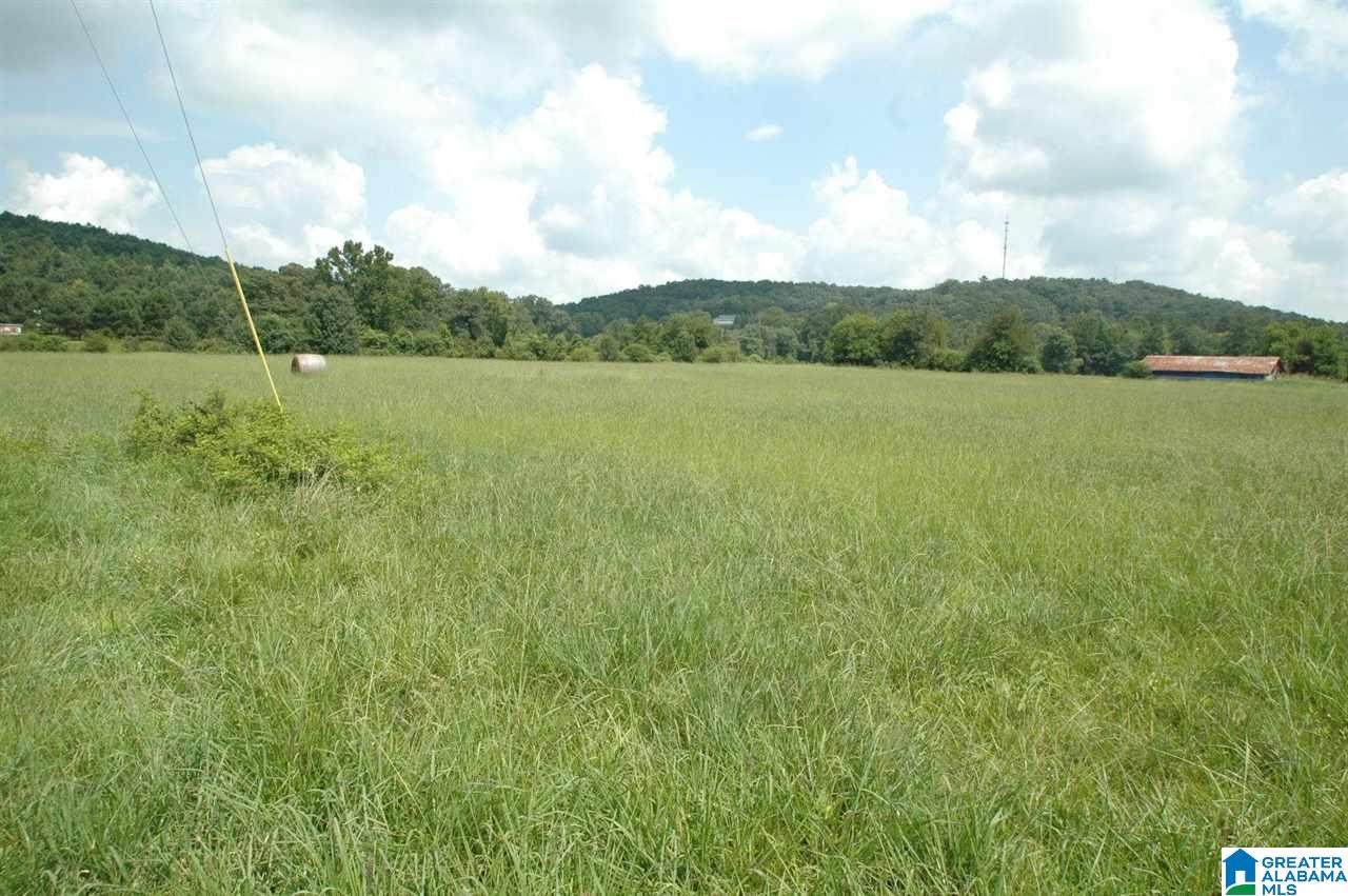 0 Murphrees Valley Road - Photo 1
