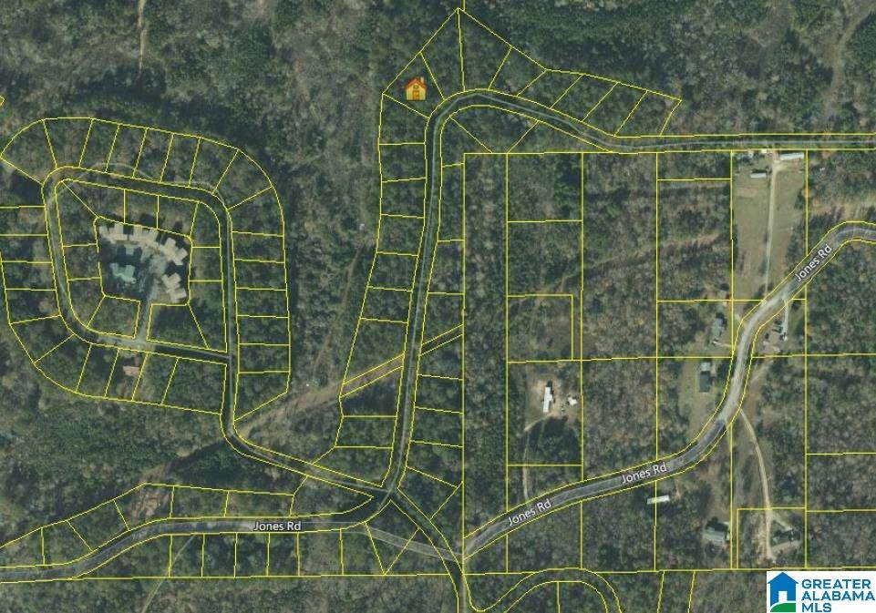 Lot #18 Jones Road - Photo 1