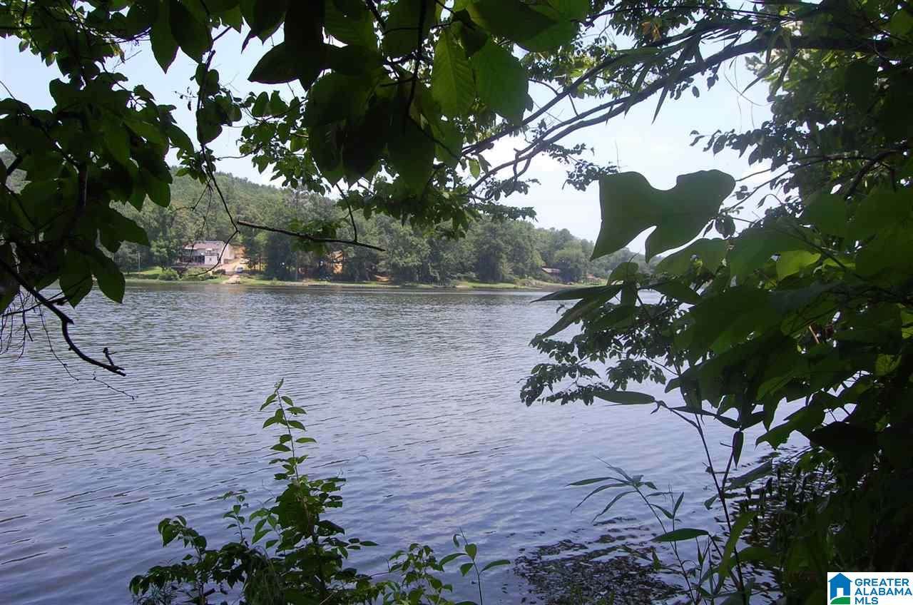 2491 County Road 520 - Photo 1