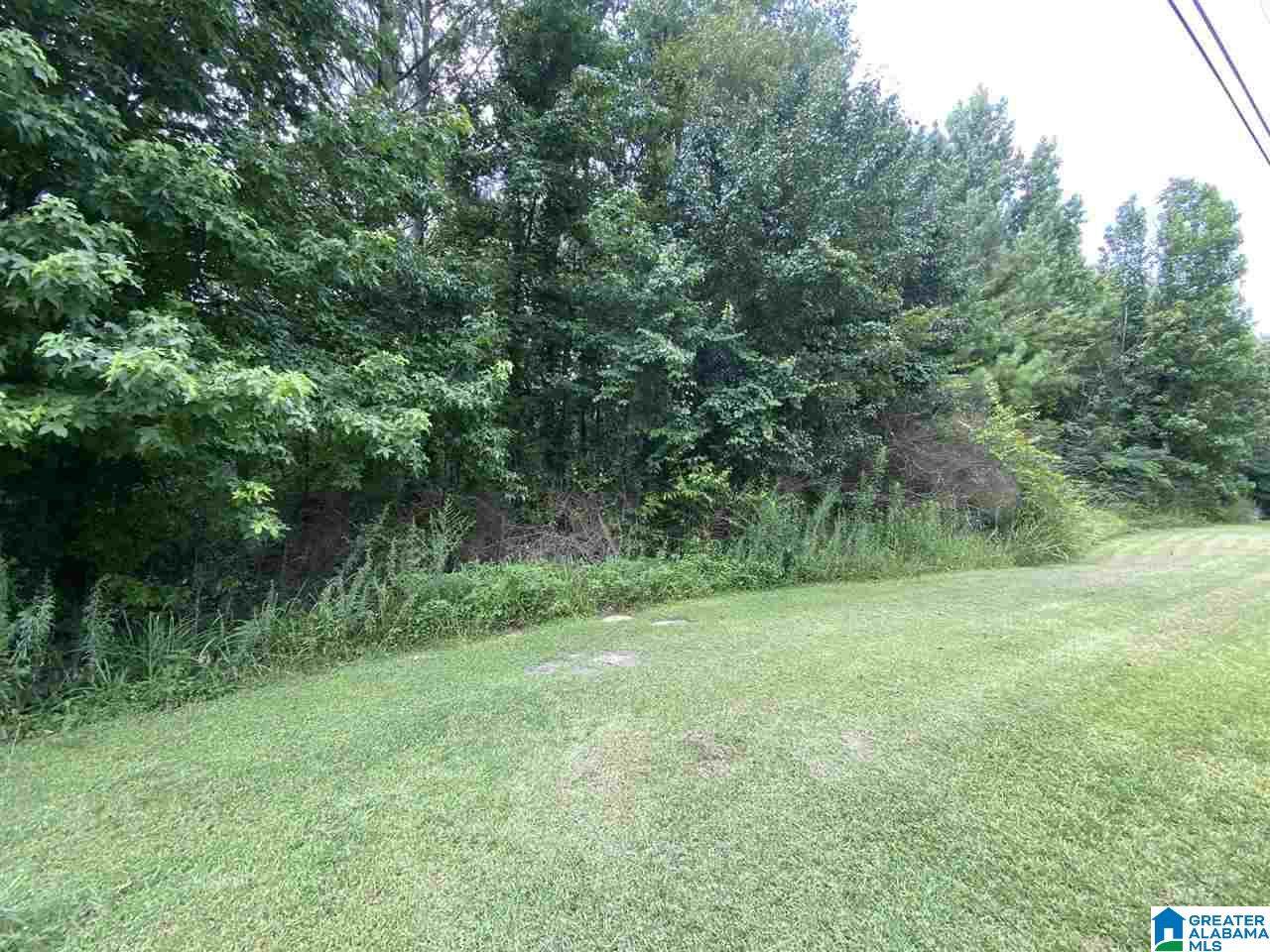 4016 Forest Lane - Photo 1