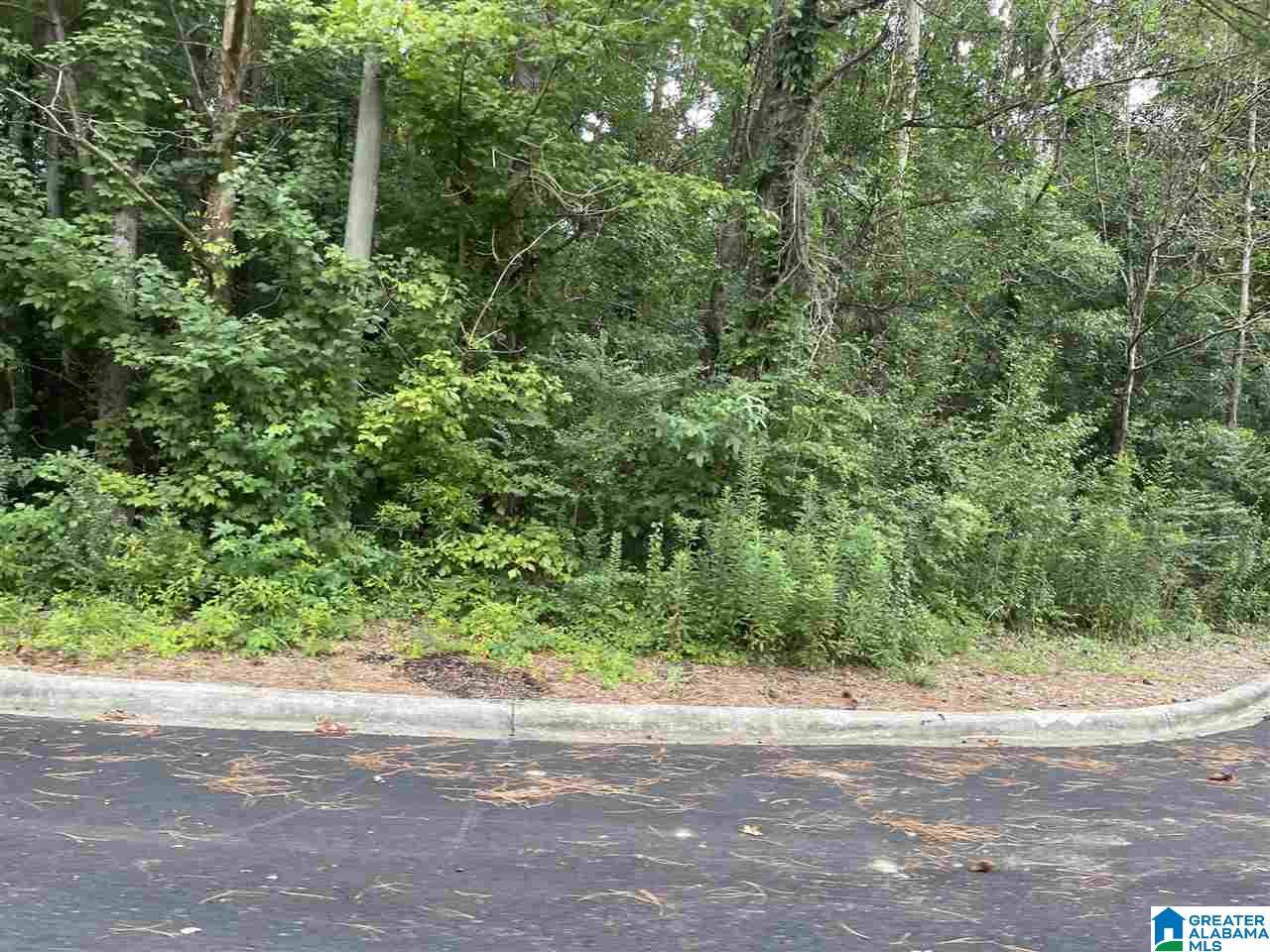 3 Noah Lane - Photo 1