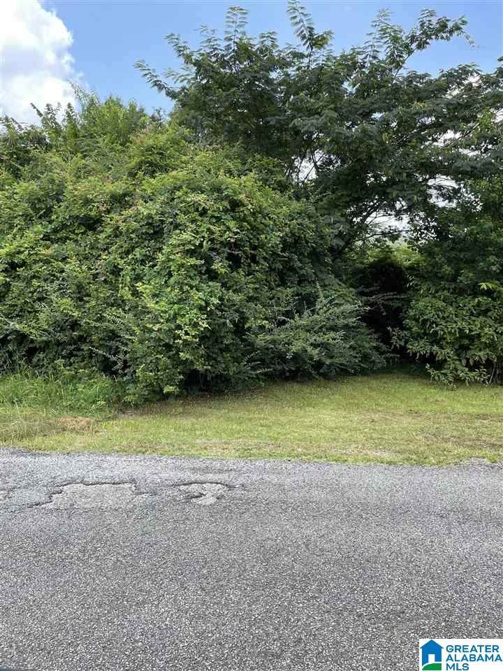 000 Washington Avenue - Photo 1