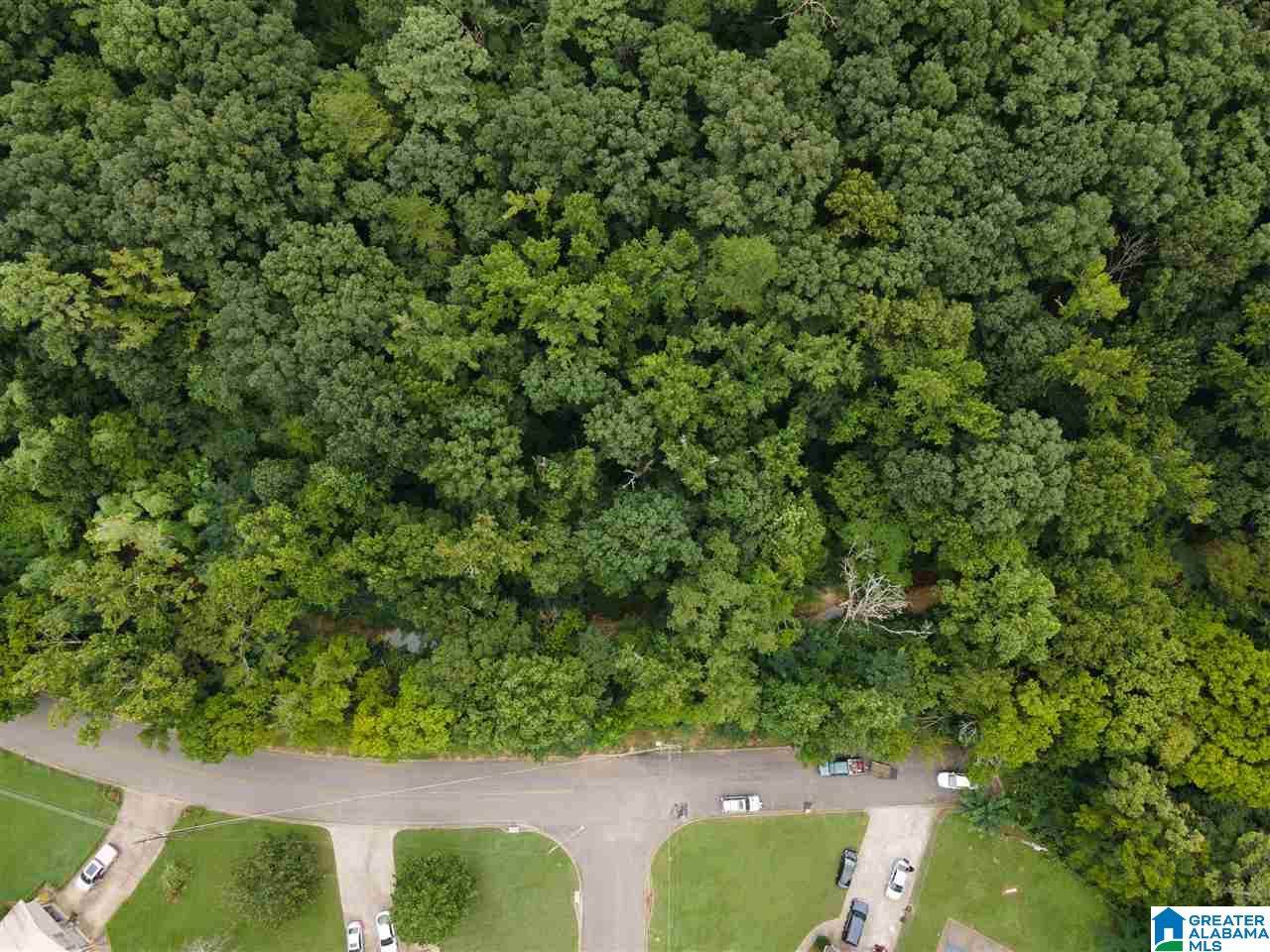 1471 Marlin Springs Road - Photo 1