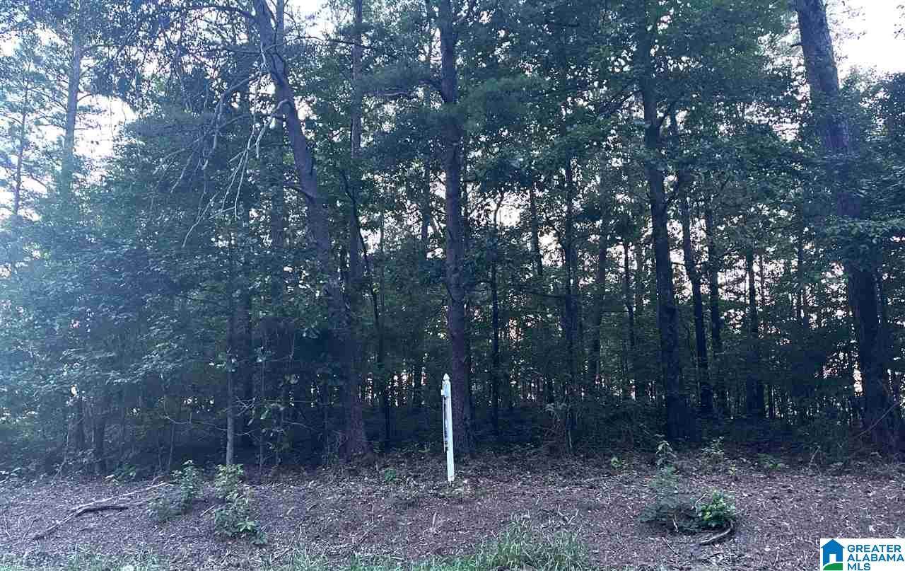576 Buddy Vines Camp Road - Photo 1