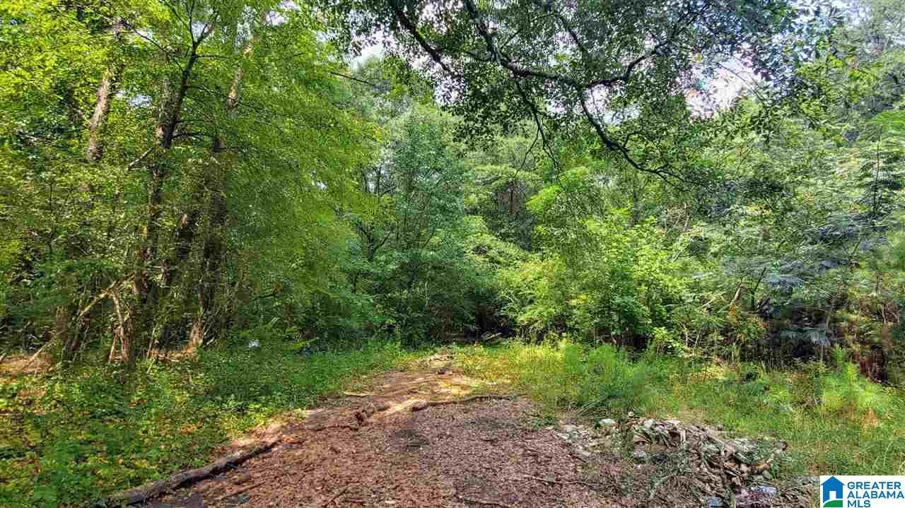 4951 Kings Lane - Photo 1