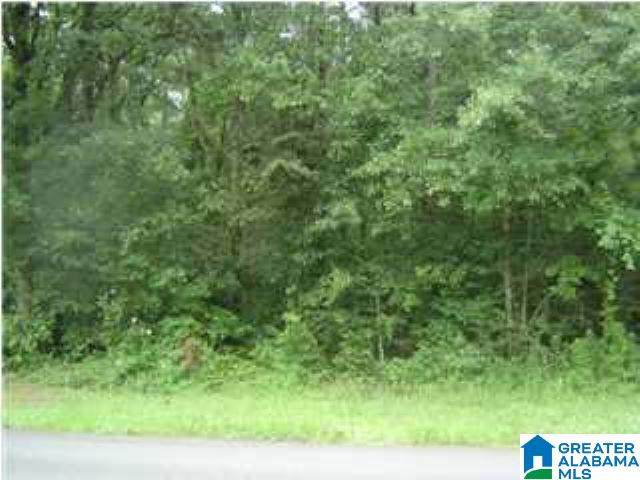 Highway 47 - Photo 1