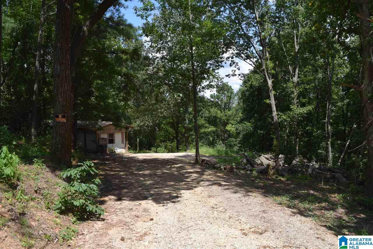 730 Rickwood Cavern Road - Photo 1