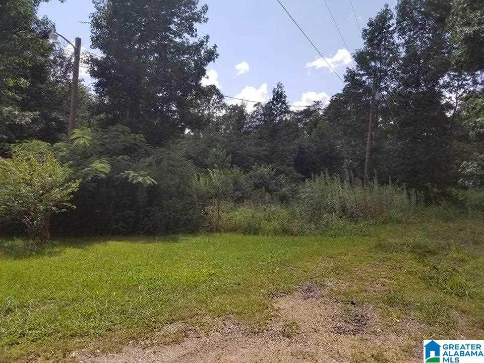 950 Clark Mountain Road - Photo 1