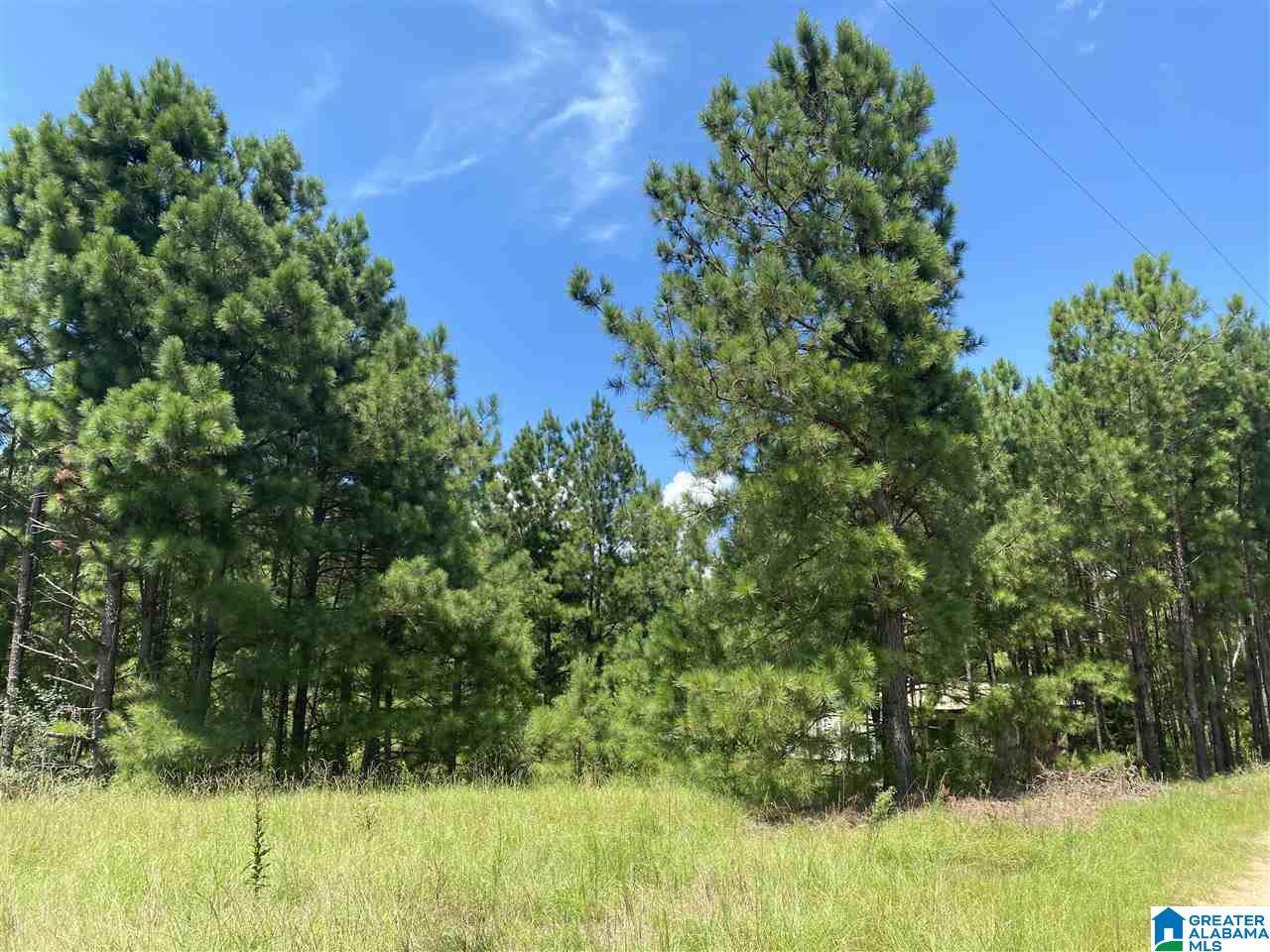 0 County Road 1049 - Photo 1