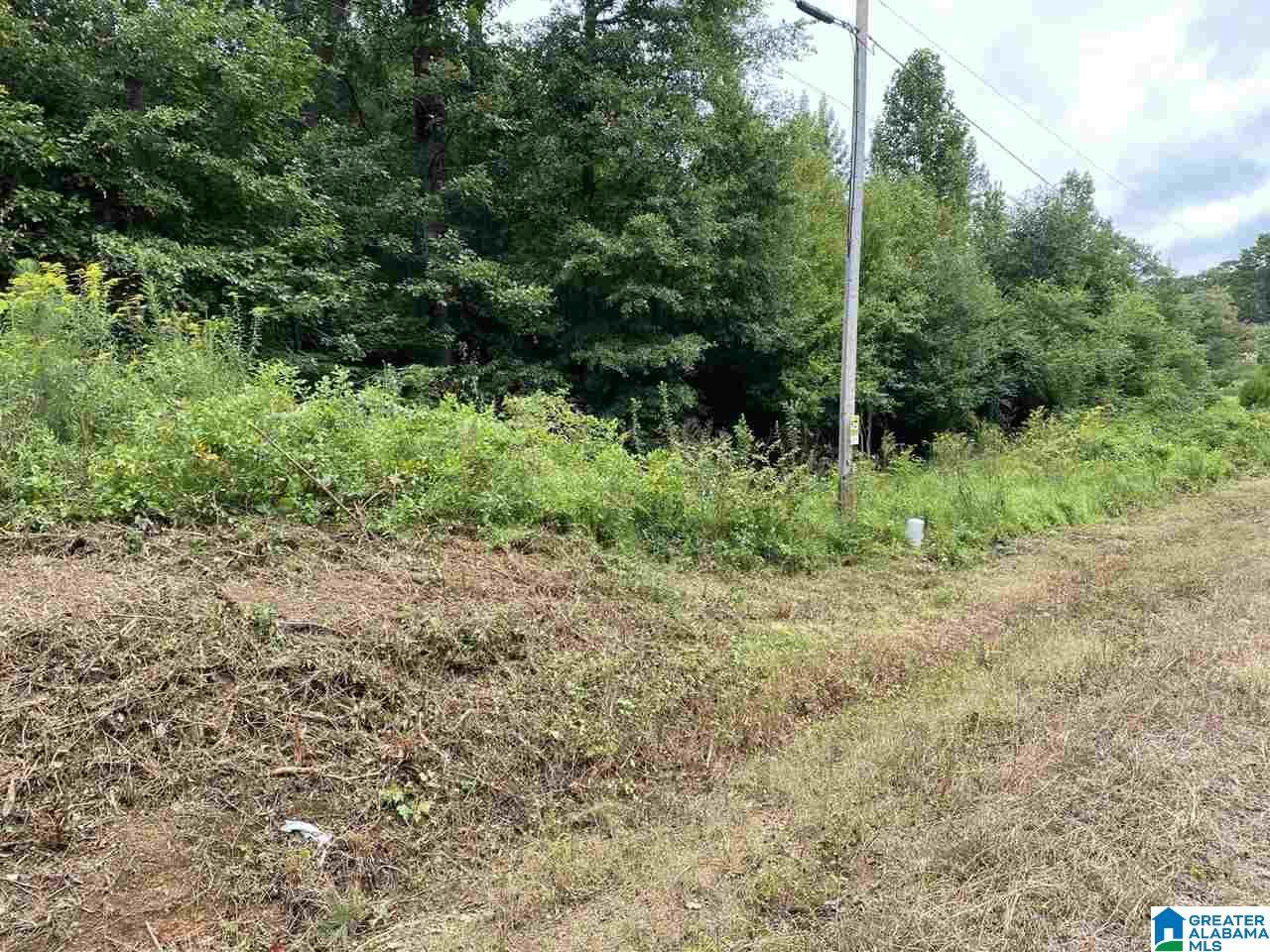 3524 County Road 22 - Photo 1
