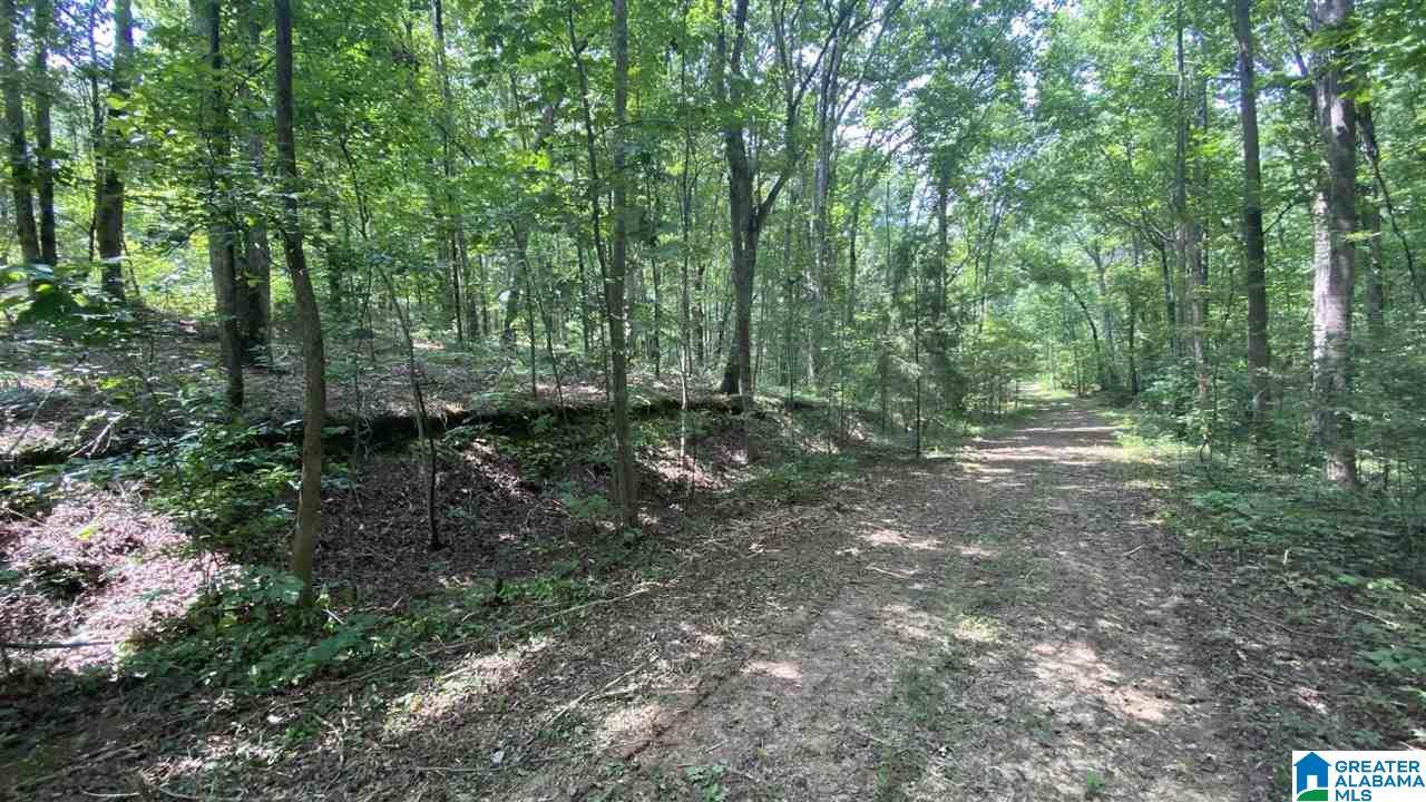 0 High Plateau Drive - Photo 1