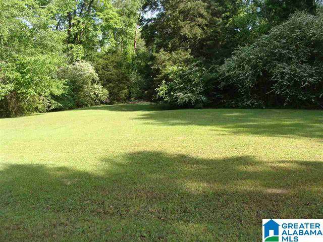 2873 Warrior Jasper Road - Photo 1