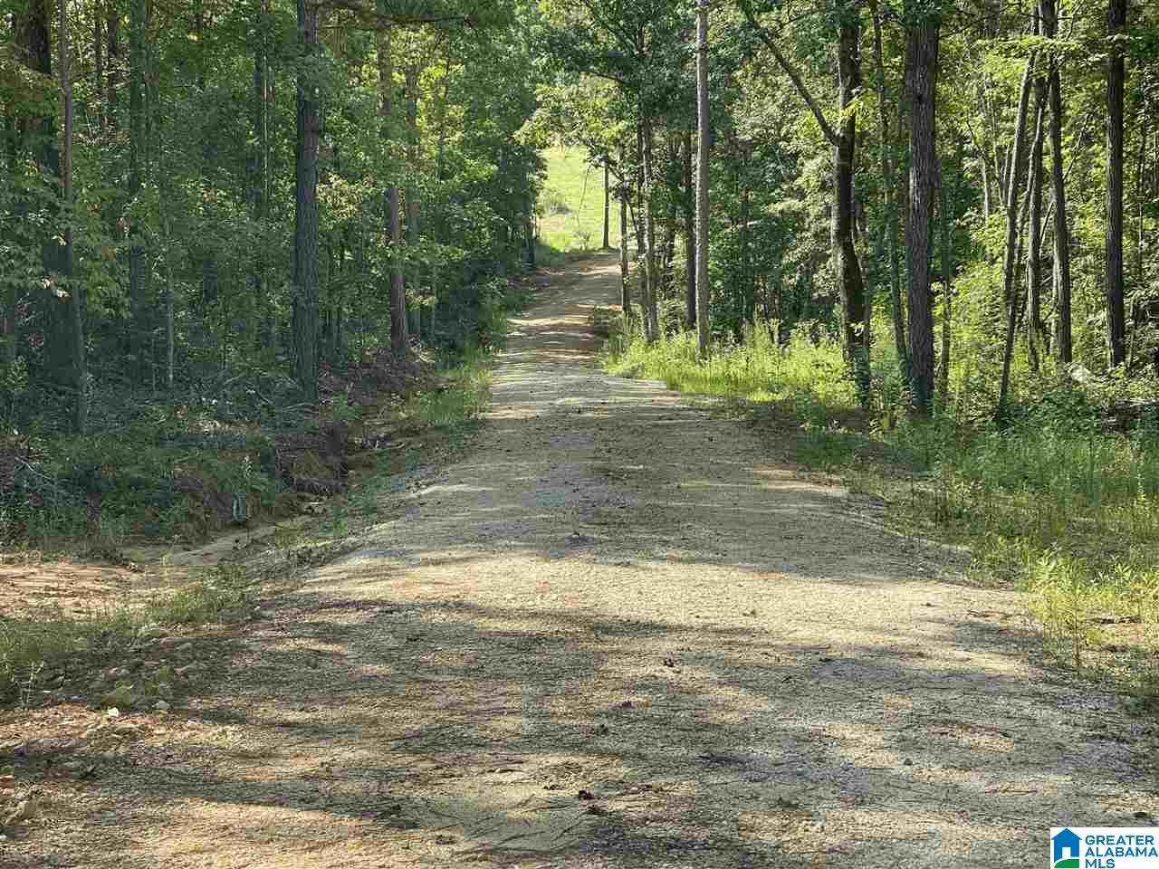 0 Benefield Gap Road - Photo 1