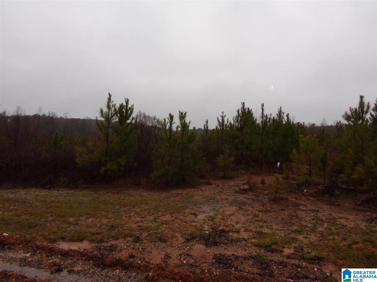 Hosmer Road - Photo 1