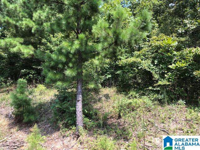 0 Cedar Crest Lane - Photo 1