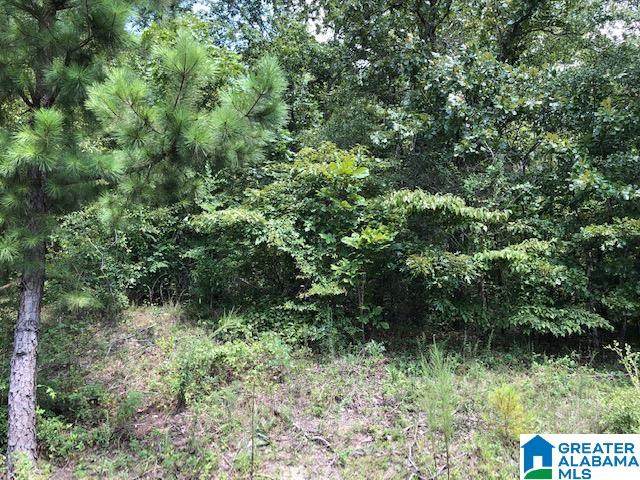 1150 Clear Creek Drive - Photo 1