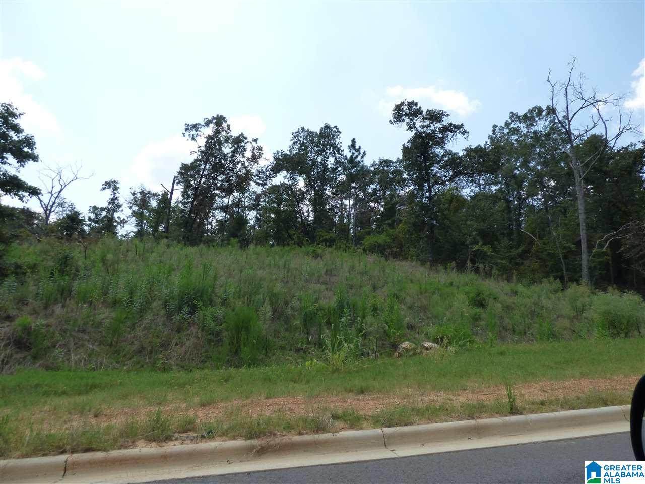 522 Pine Mountain Road - Photo 1