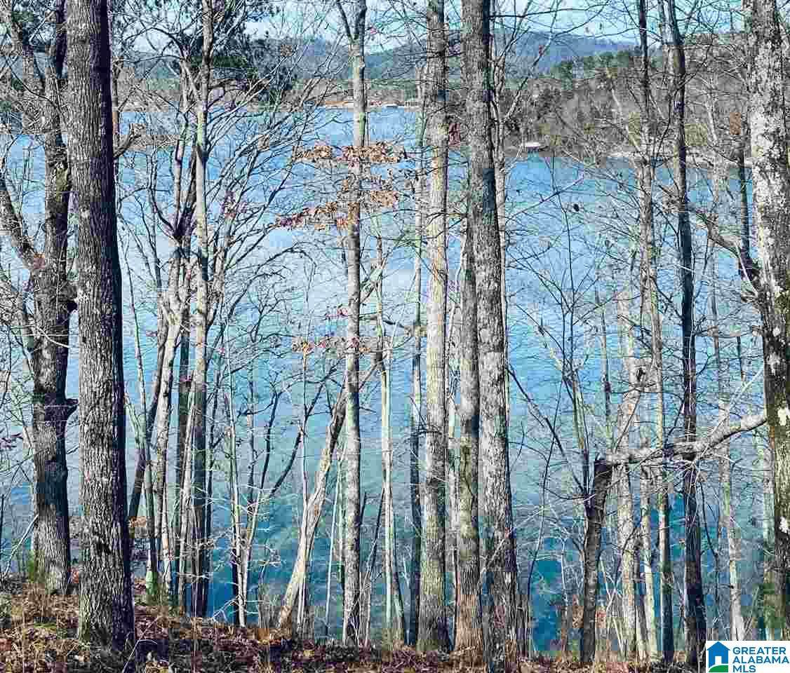00 Mohawk Cliff Road - Photo 1