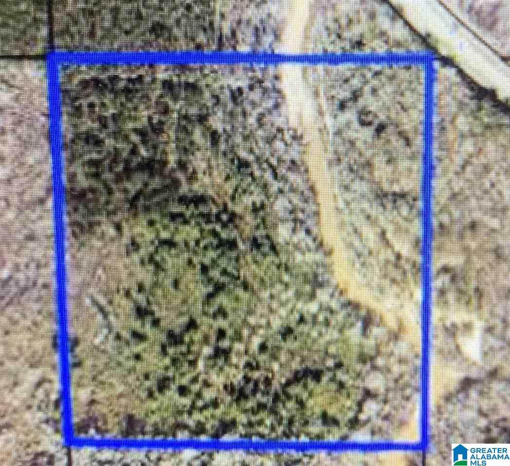 0 Highway 82 - Photo 1