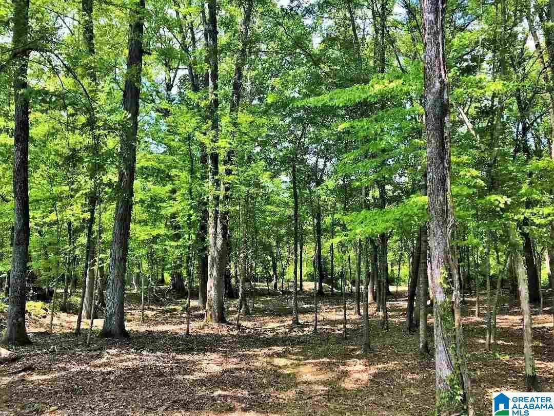6951 Highway 34 - Photo 1