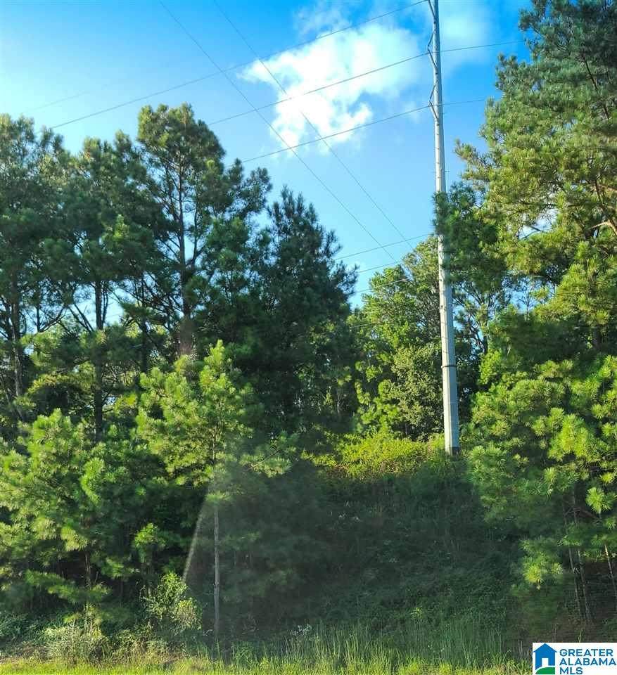 Highway 280 - Photo 1