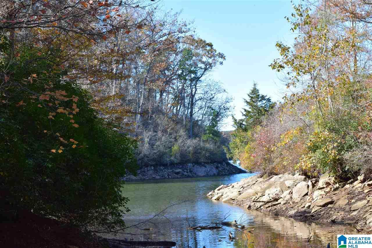 Lot 26B Bluffs Circle - Photo 1