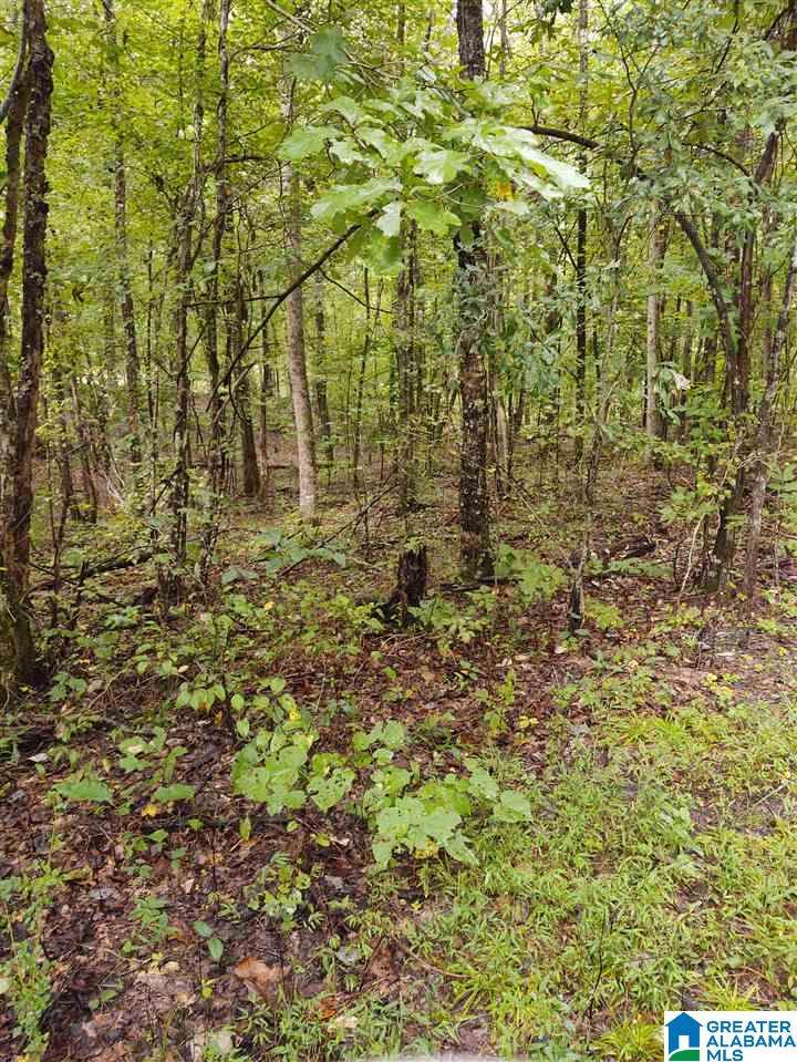 69 River Oak Lane - Photo 1