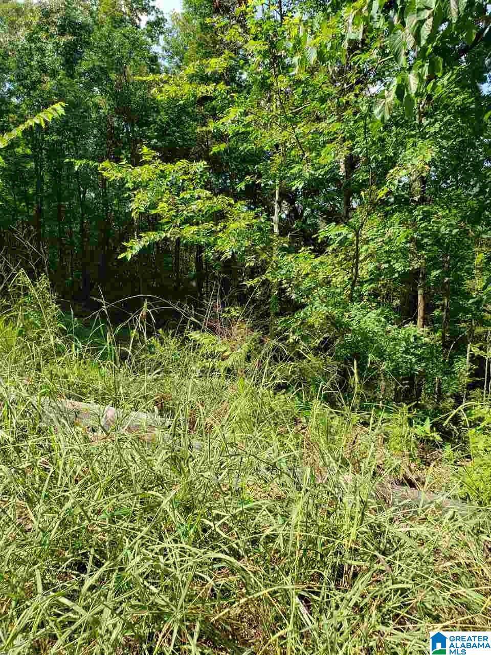 3355 County Road 11 - Photo 1