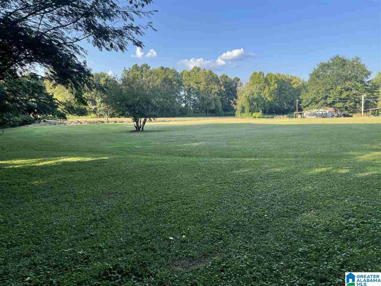 11599 Highway 21 - Photo 1