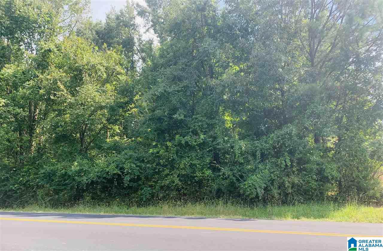 Highway 47 - Photo 1