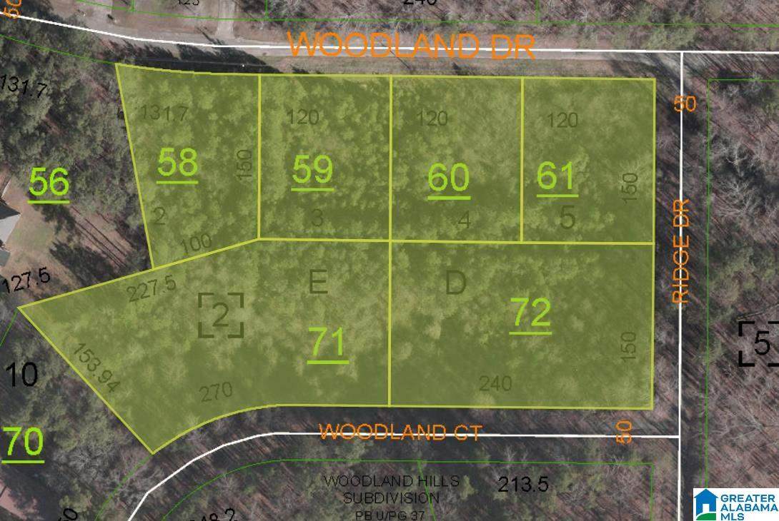 0 Woodland Drive - Photo 1