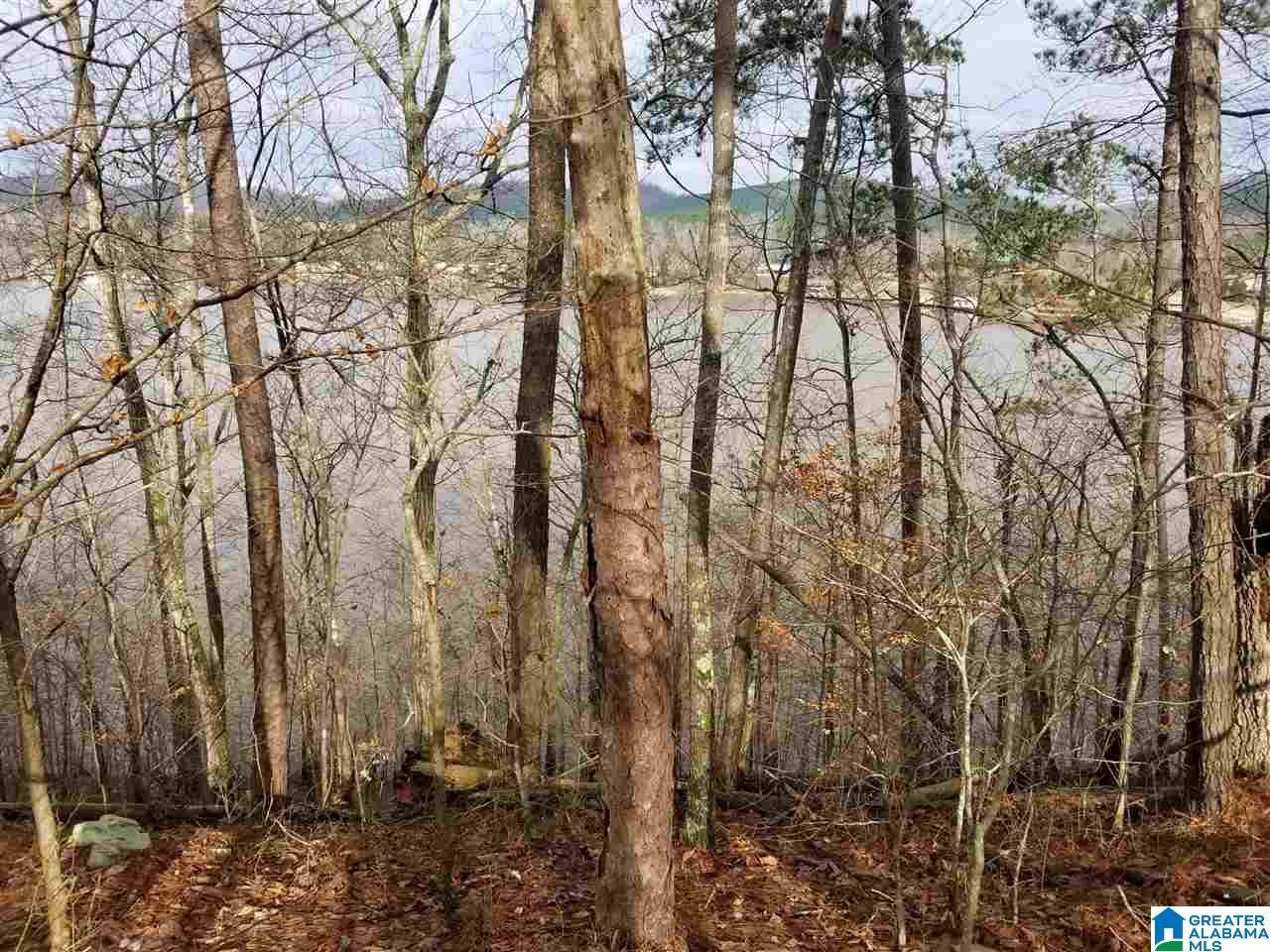 Waldrop Road - Photo 1