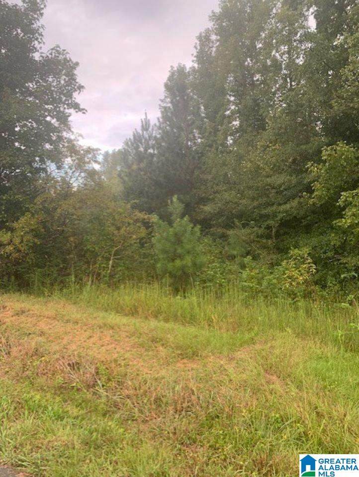 11140 Highway 41 - Photo 1