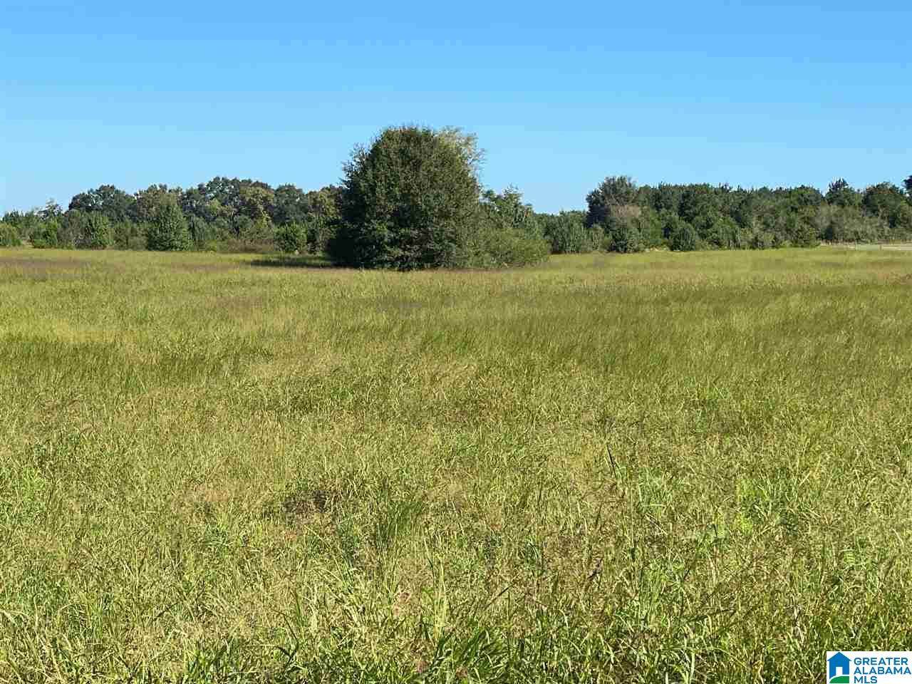 591 Brickstore Road - Photo 1