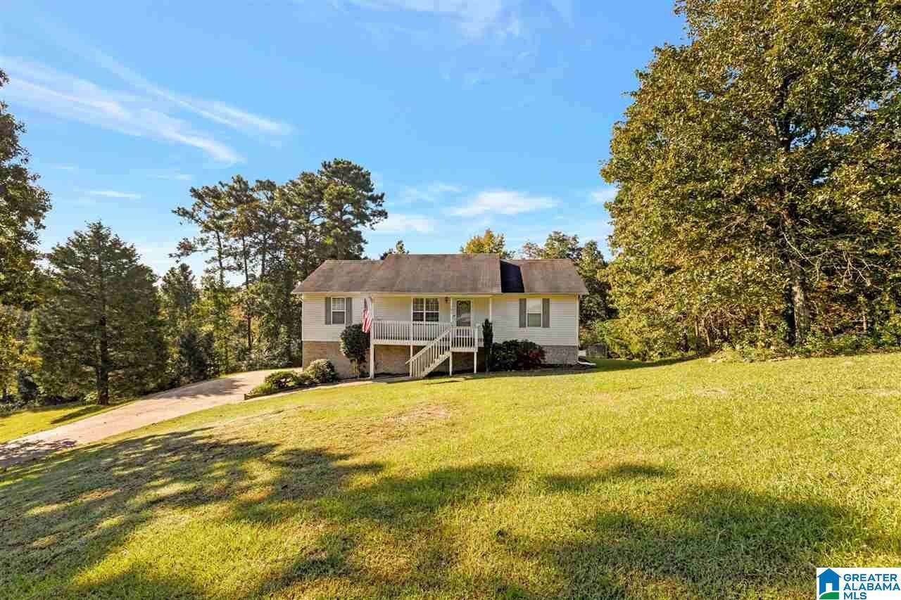 101 Black Hawk Lane - Photo 1