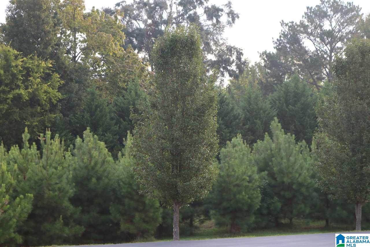 6026 Parkview Trail - Photo 1