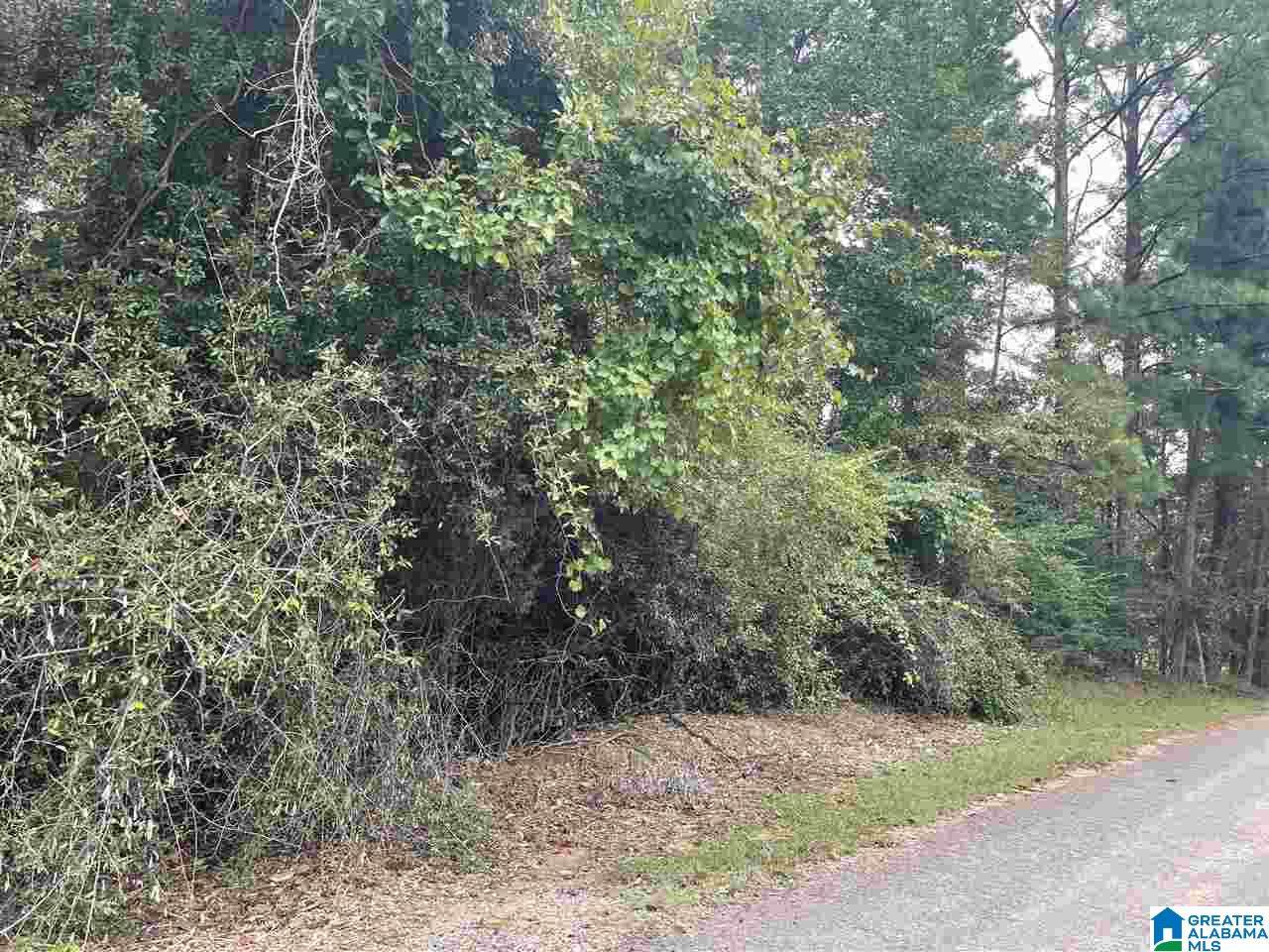 00 Ransome Drive - Photo 1