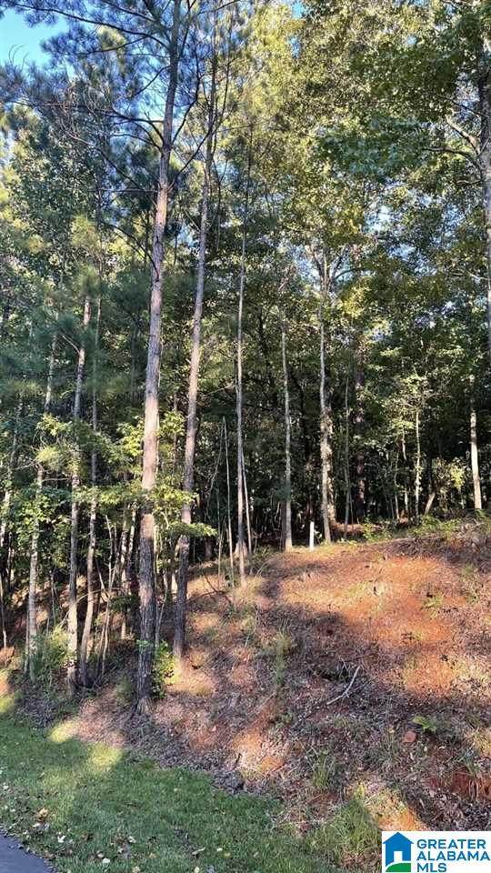 Lot 31 Blue Creek Circle - Photo 1