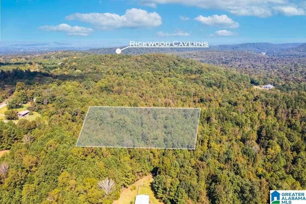 0 Tyler Hill Road - Photo 1