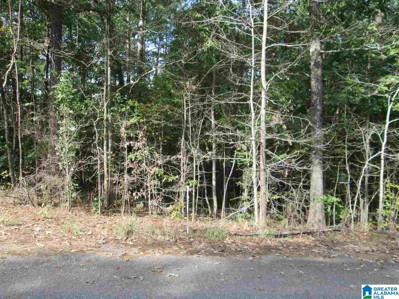 0 Dale Drive - Photo 1
