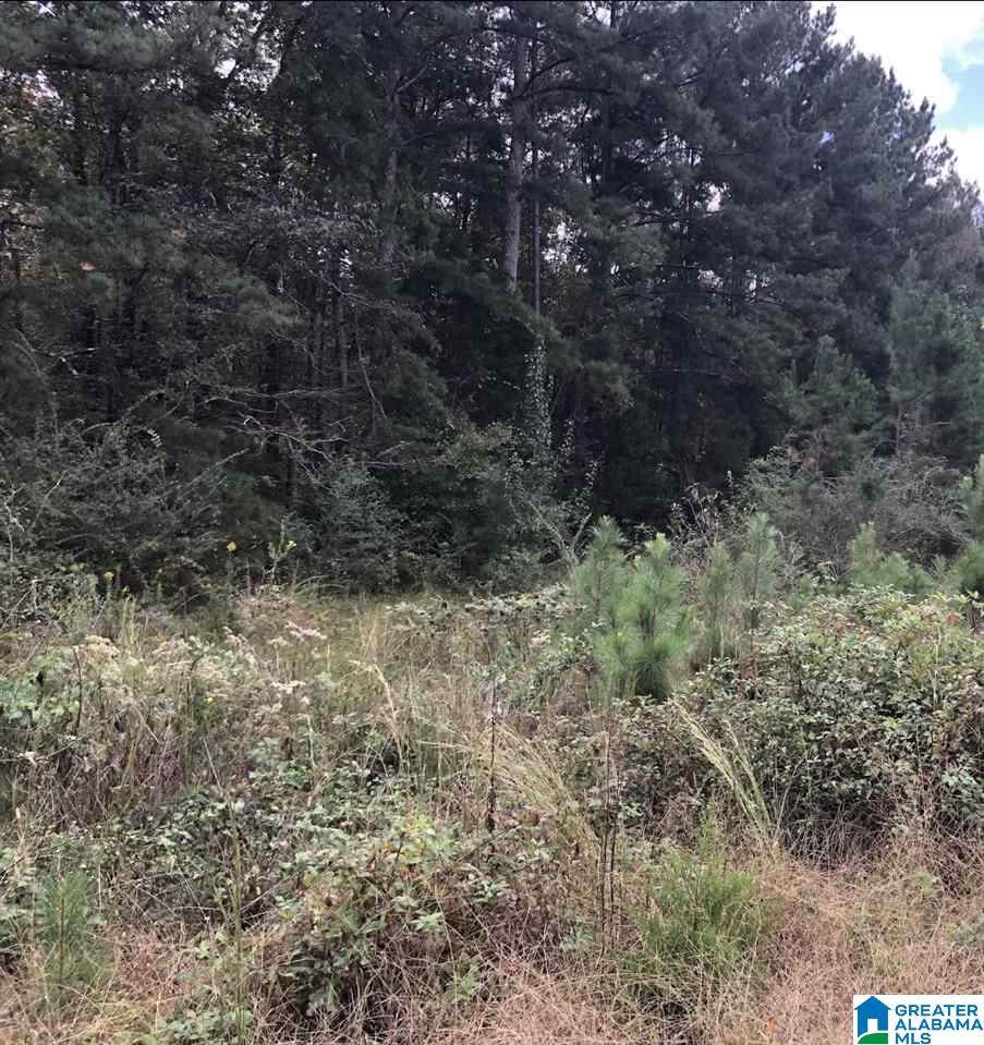 Thomaston Road - Photo 1