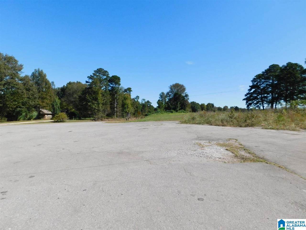 00 Highway 231 - Photo 1