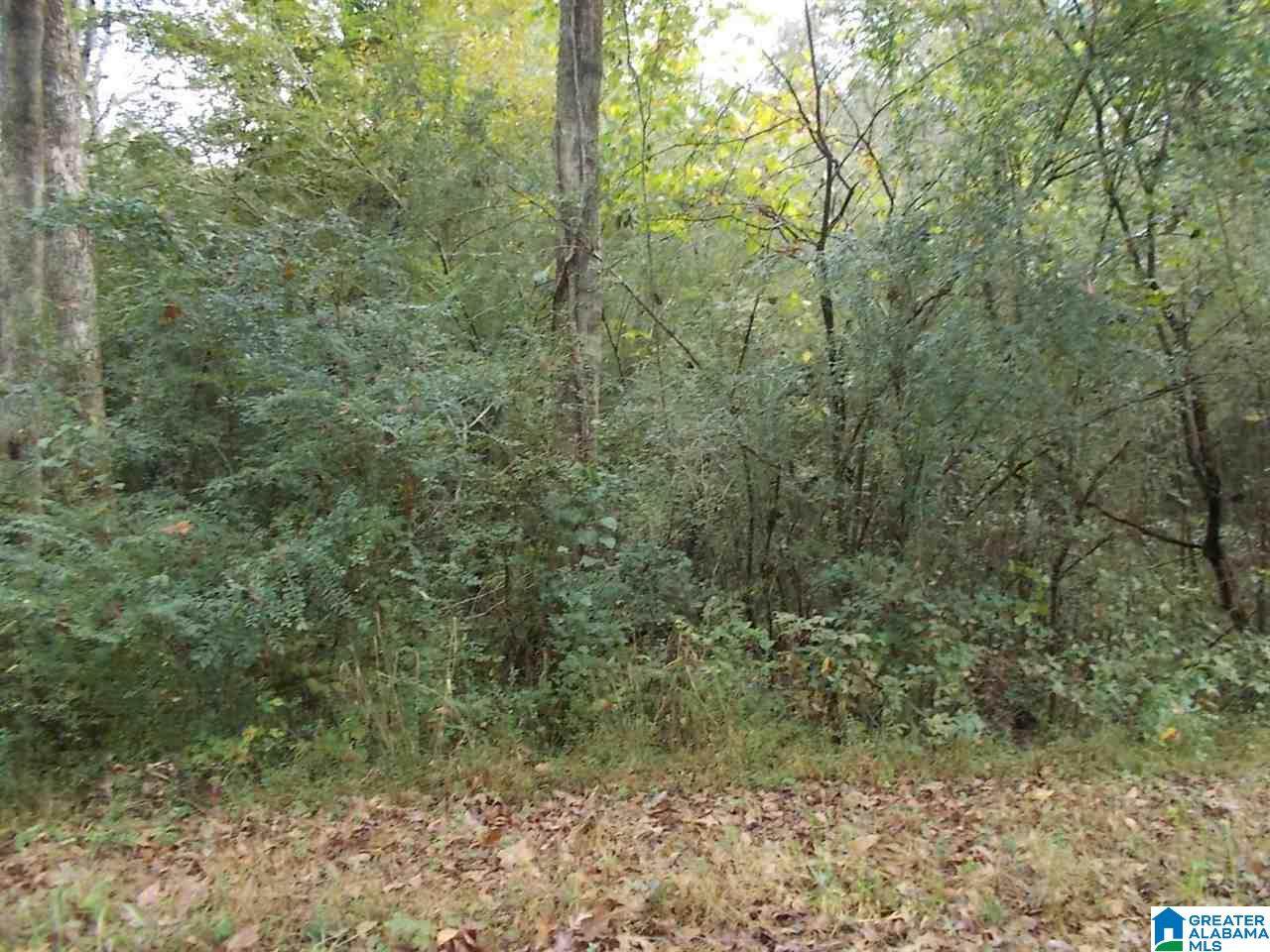 4017 Graham Drive - Photo 1
