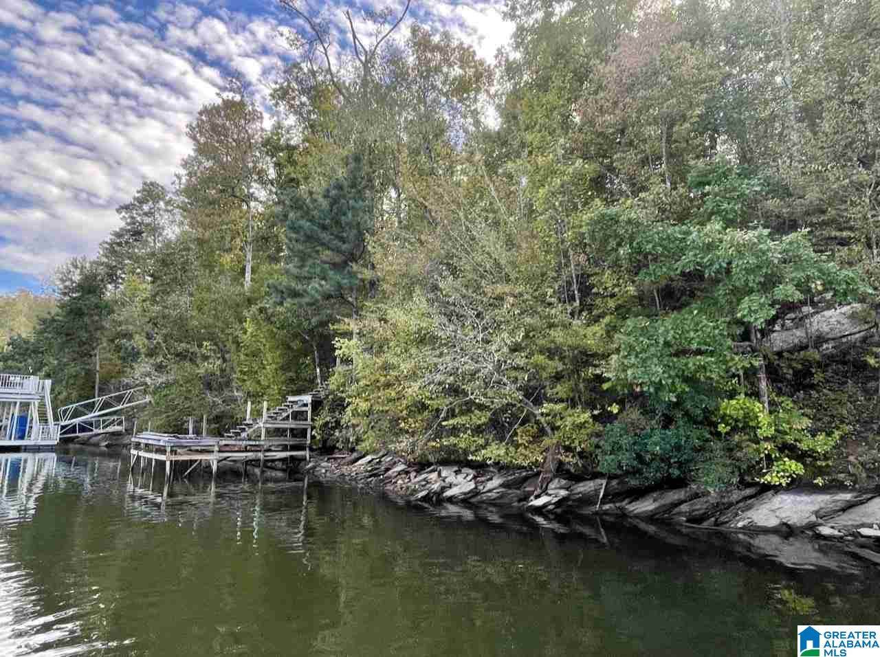 Foster Cove Drive - Photo 1