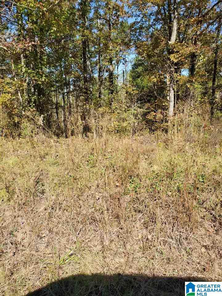 00 Highway 148 - Photo 1