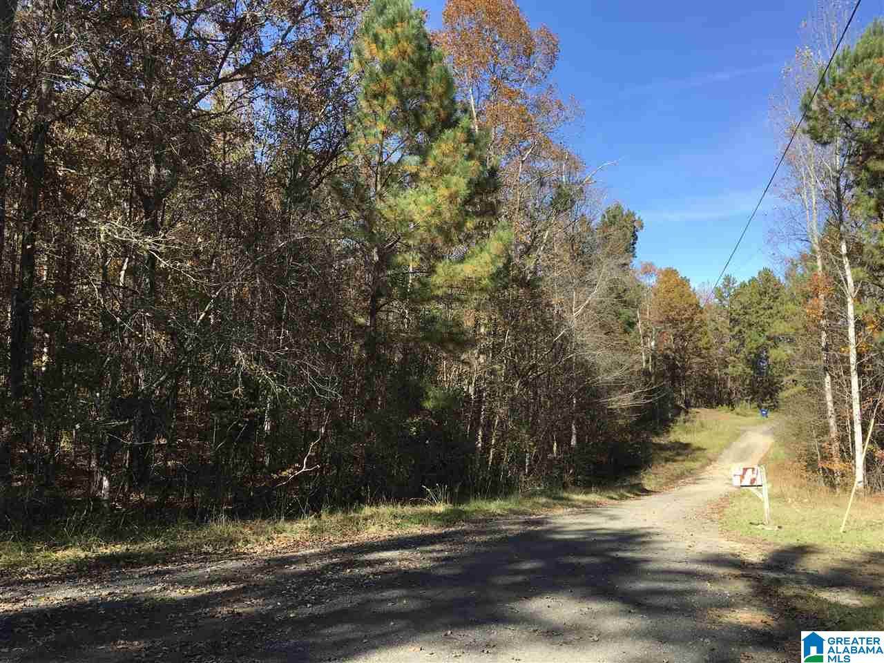 00007 Springhollow Road - Photo 1