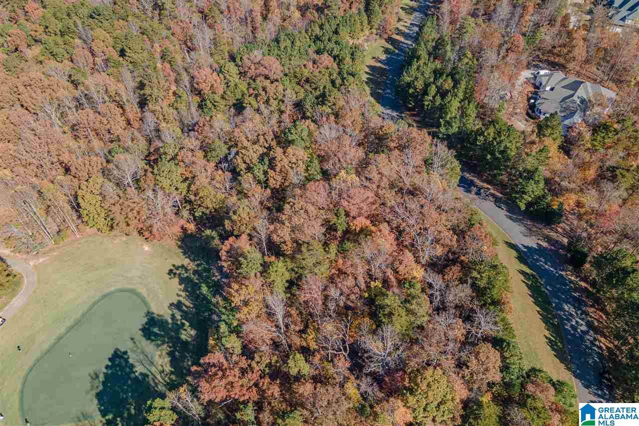 7429 Ridgecrest Court Road - Photo 1