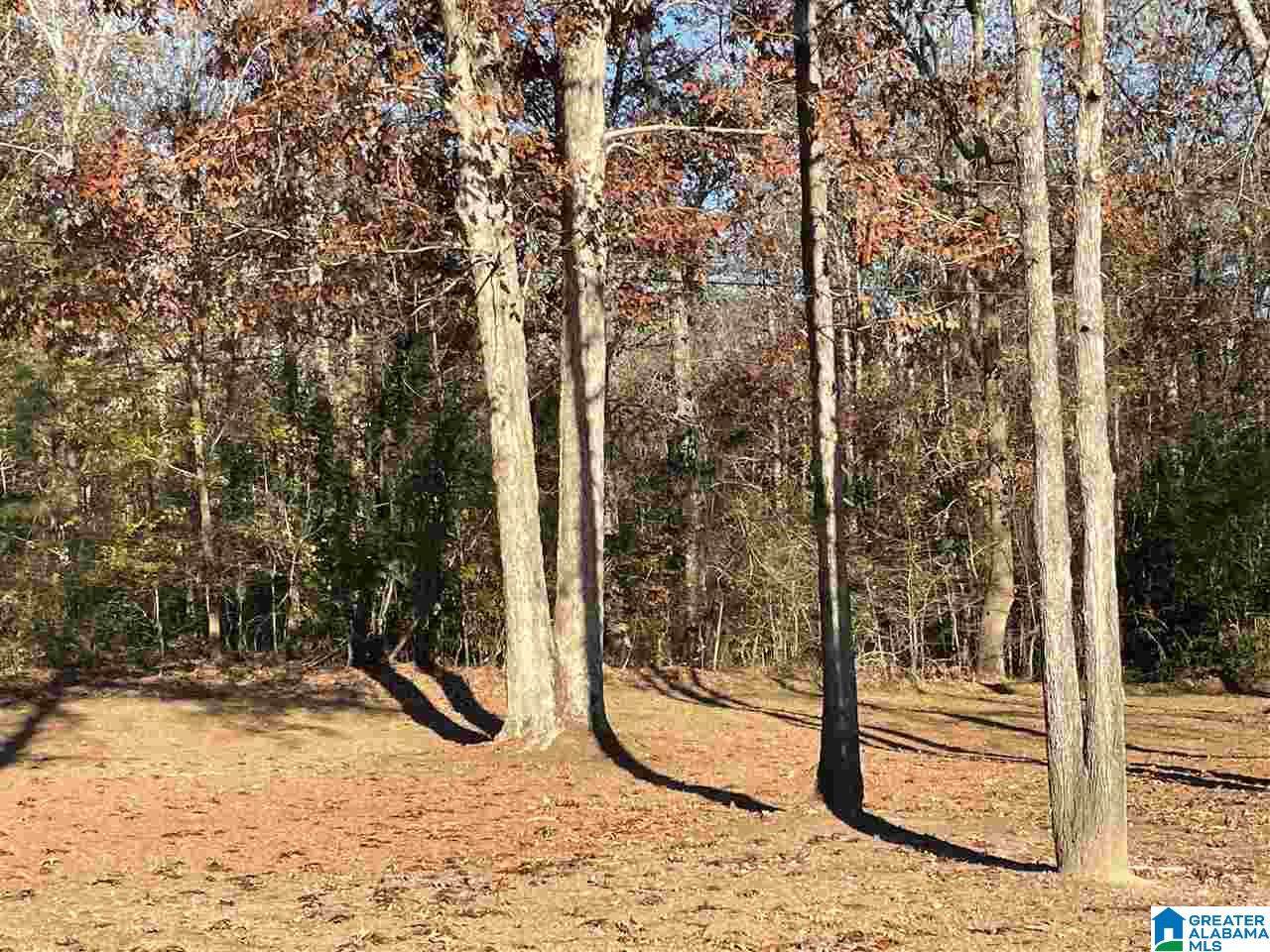 10600 Highway 55 - Photo 1
