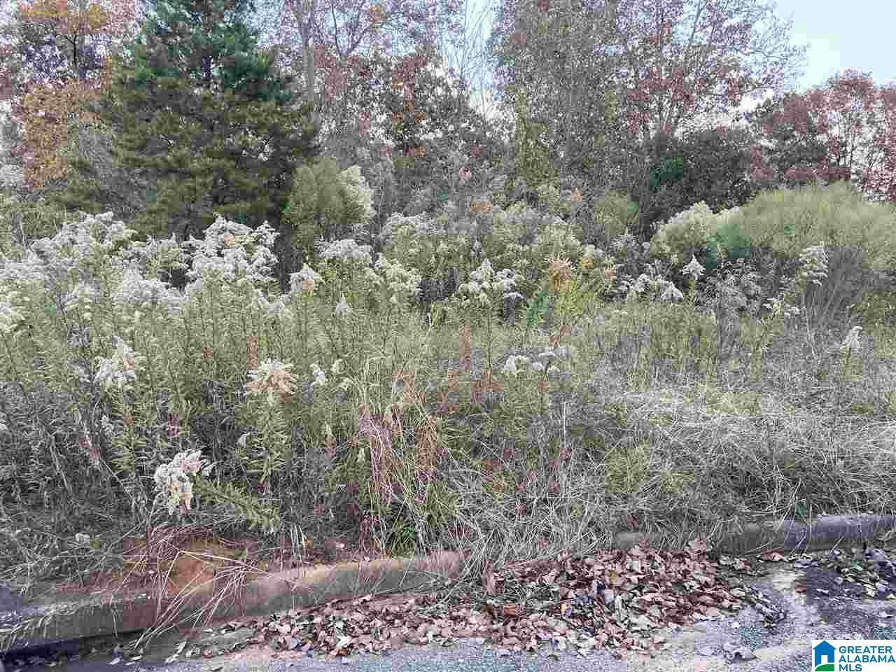 5861 Shades Run Lane - Photo 1